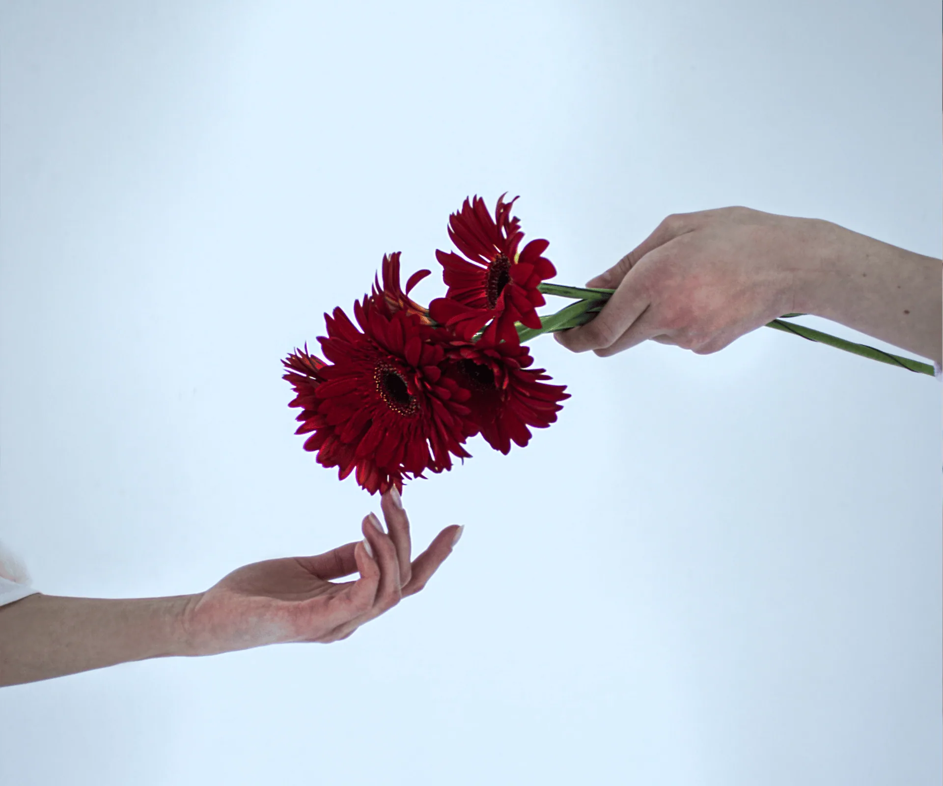 The Generosity Paradox